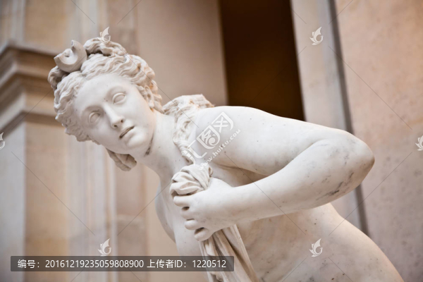 金星