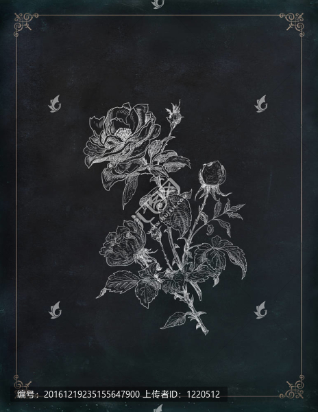 老玫瑰插圖