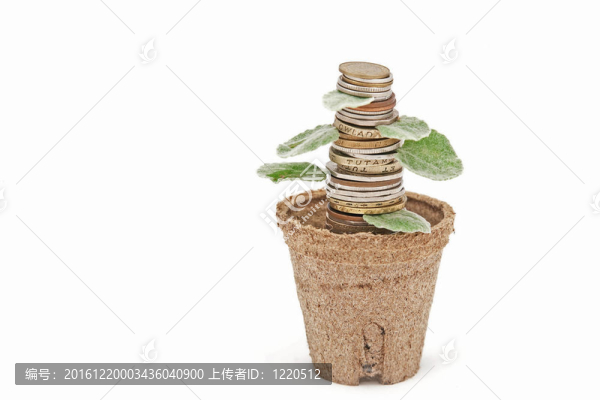 罐子里的硬幣堆