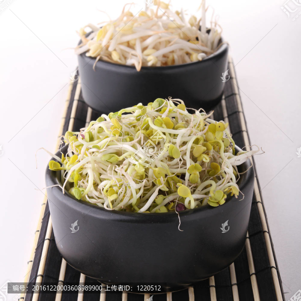 黃豆芽