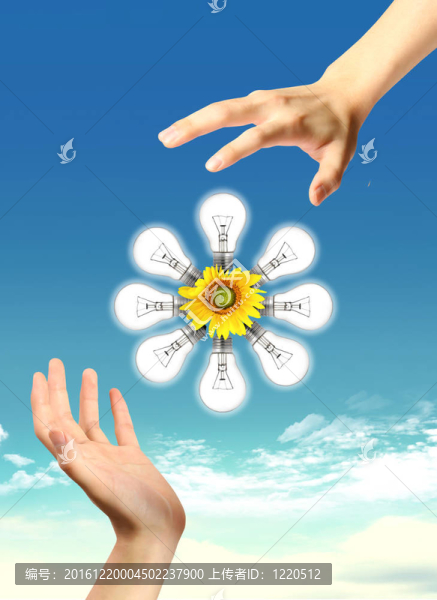 向日葵和天空的燈泡。