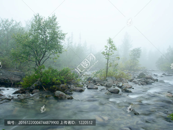 霧中水流
