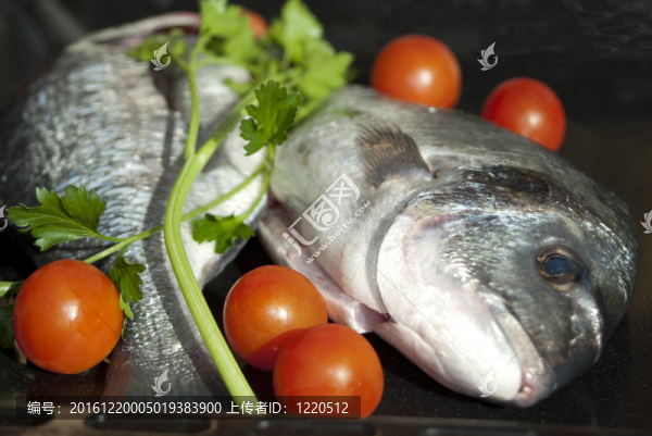 健康與飲食。新鮮的魚