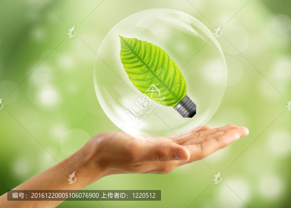 生態(tài)概念：手與葉子在泡沫