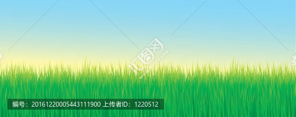 草圖案背景