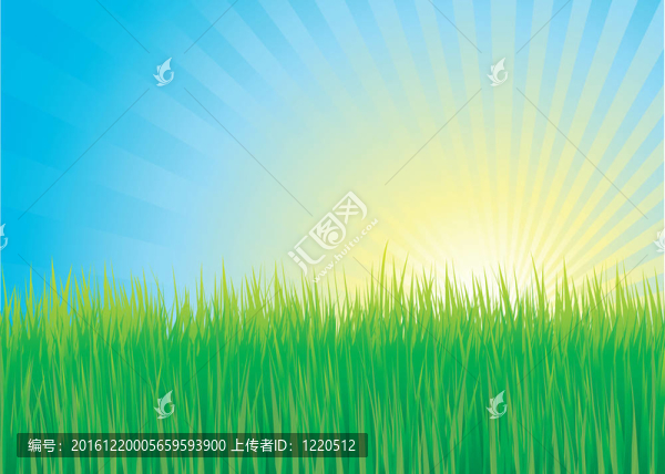青草與陽光背景