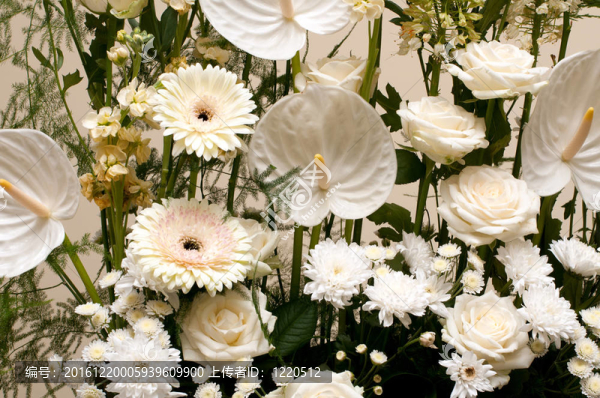 美麗的花束；各種花卉背景