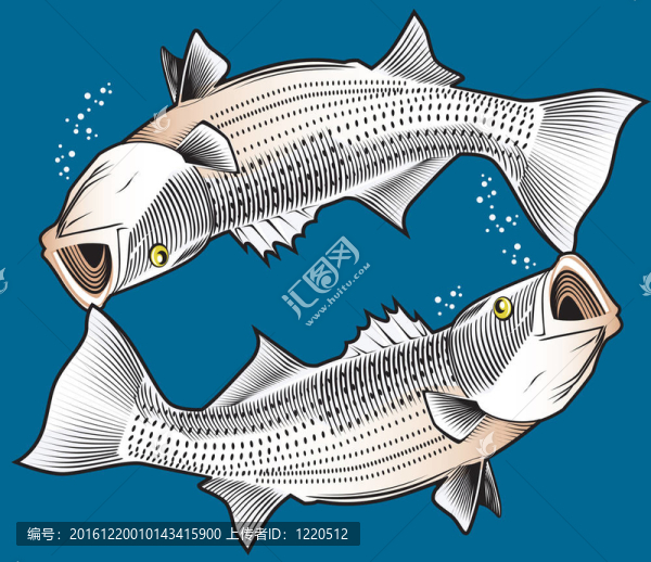 鱸魚