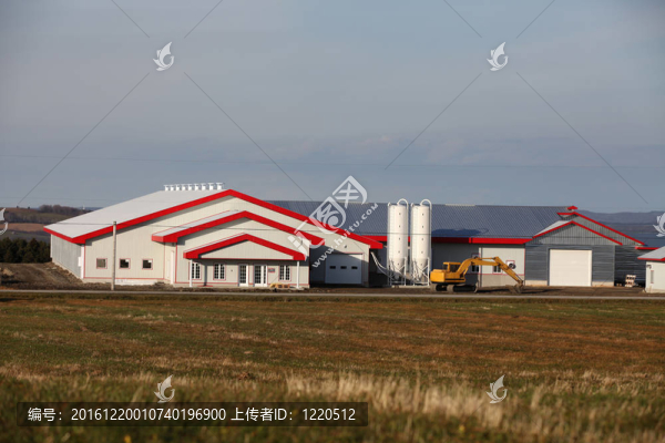 現(xiàn)代奶牛場建設(shè)