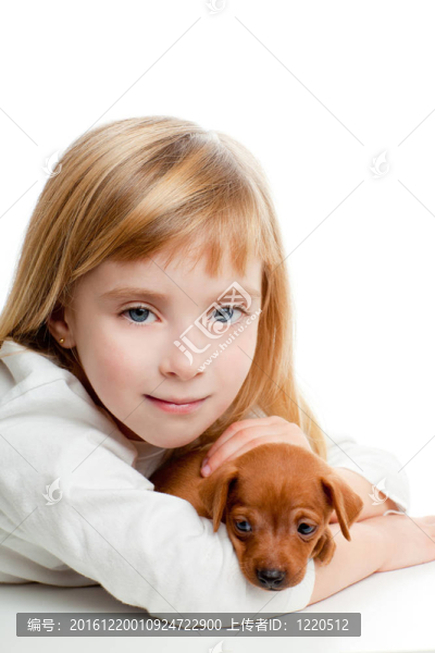 金發(fā)小女孩的迷你杜賓犬寵物狗的吉祥物