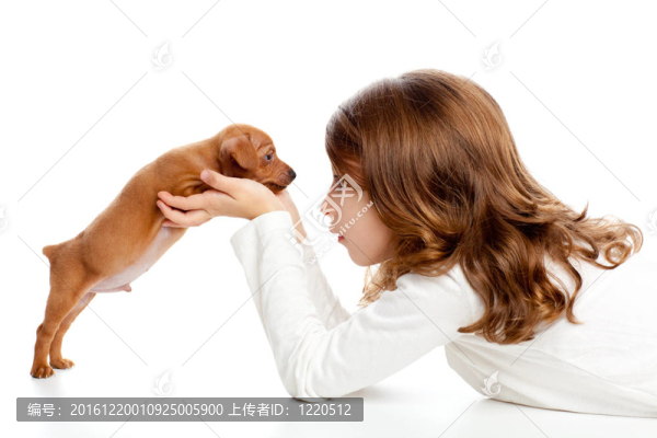 與小狗迷你杜賓犬黑色的輪廓的女孩