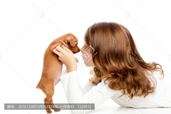 與小狗迷你杜賓犬黑色的輪廓的女孩