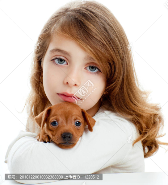 黑發(fā)女孩與小狗迷你杜賓犬