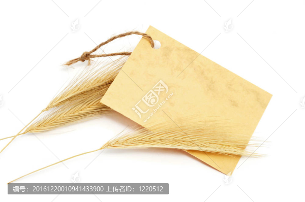 空白的紙標(biāo)簽