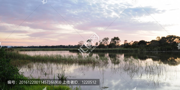 edithvale,Seaford的濕地