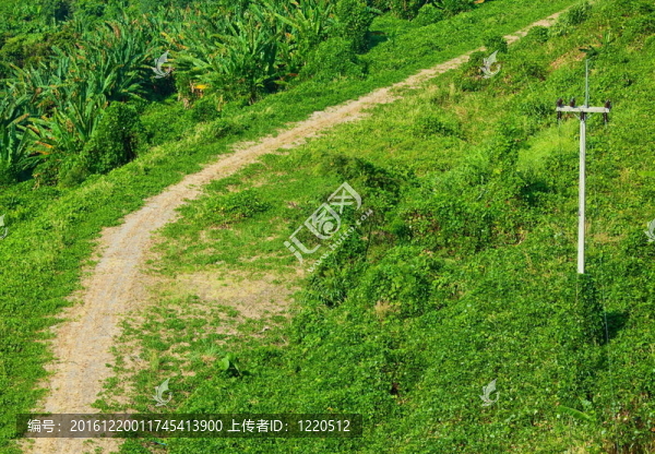 碎石路