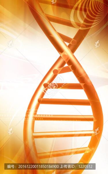 DNA