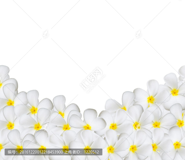花白色