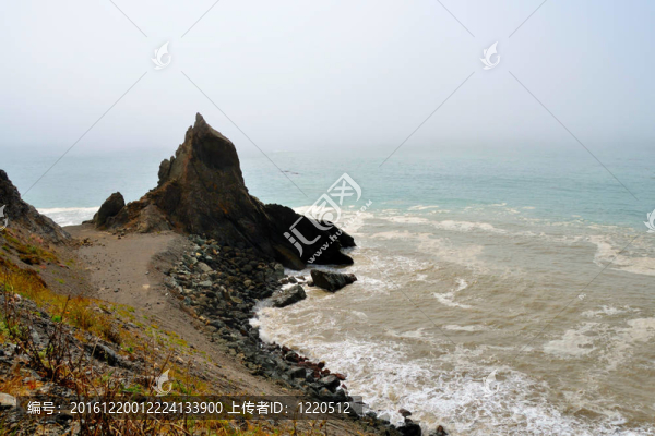 野生的加州海岸