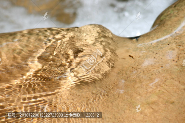 水