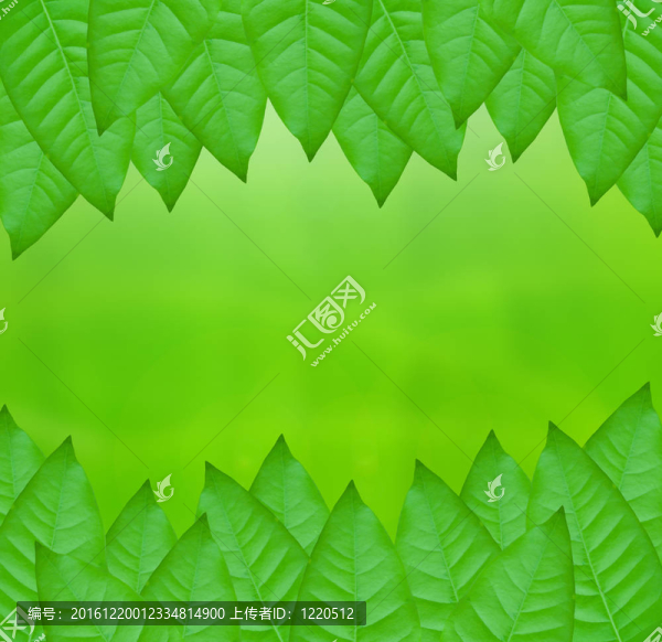 綠葉抽象