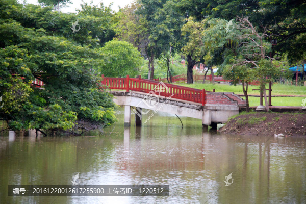 叢林河流；泰國