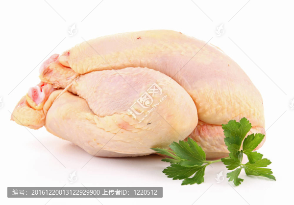 孤立的生雞肉