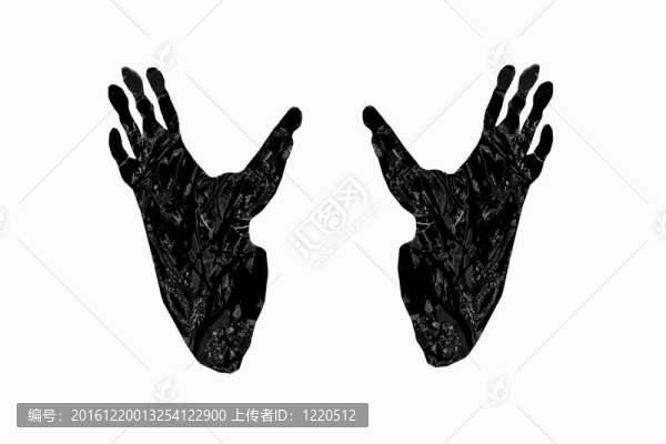 大猩猩的爪子印腳