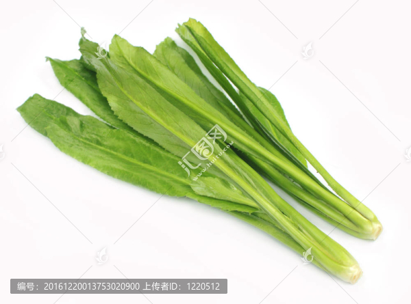 長(zhǎng)的香菜葉