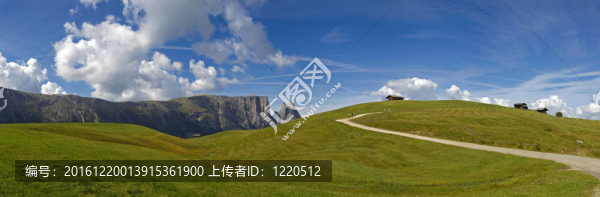 全景
