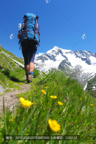 在奧地利阿爾卑斯山路遠足