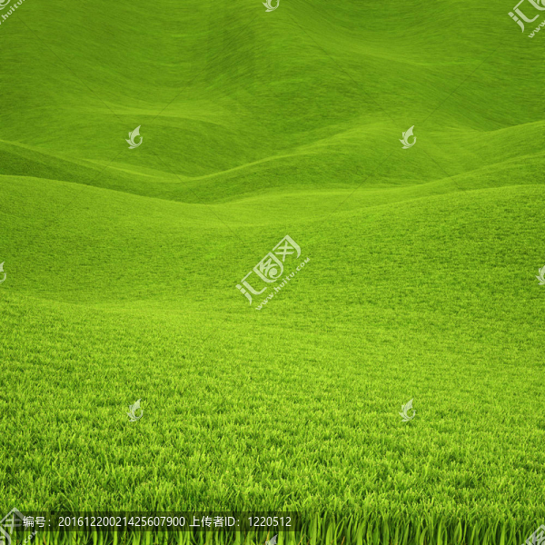 景觀