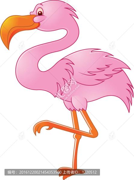 有趣的火烈鳥(niǎo)鳥(niǎo)