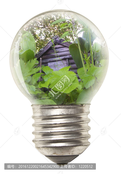 生態(tài)理念--,Bulb
