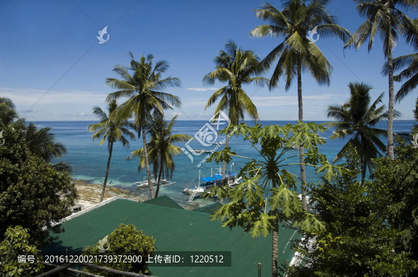 APO島觀海；菲律賓