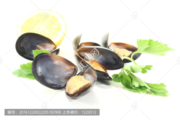 貽貝與平葉香菜和檸檬