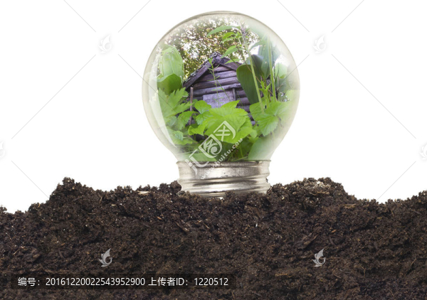 生態(tài)理念--,Bulb