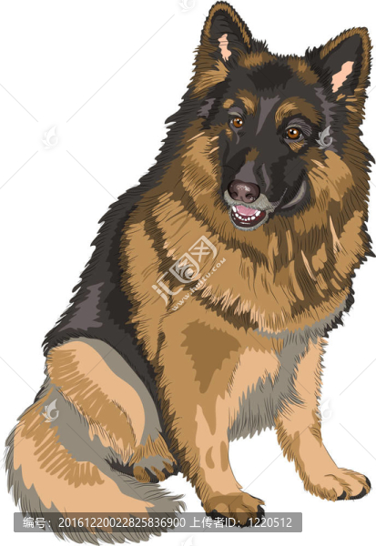 彩色素描狗德國牧羊犬品種