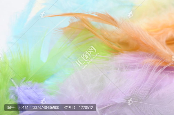 一些彩色羽毛的背景或紋理