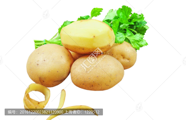 生土豆、土豆皮分離