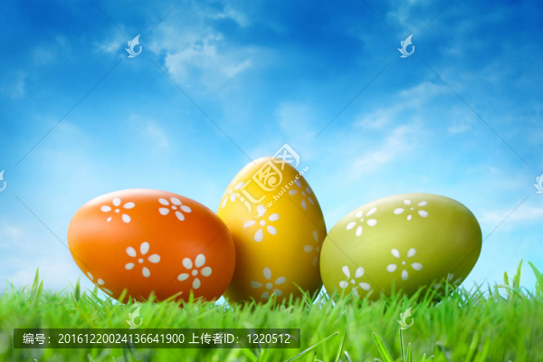 彩色復(fù)活節(jié)彩蛋在草對藍(lán)天