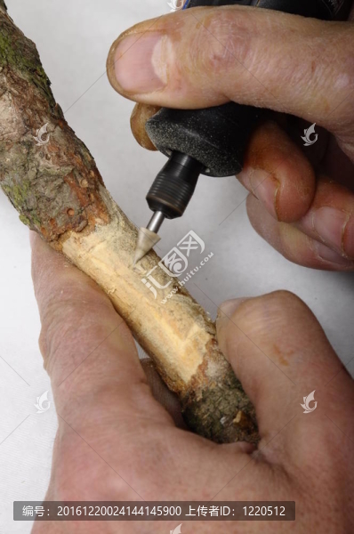 工作一塊與背景光的小鉆頭打磨木材的工匠的手