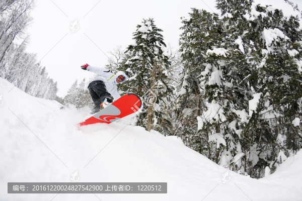 新鮮的雪的滑雪板