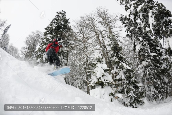 新鮮的雪的滑雪板