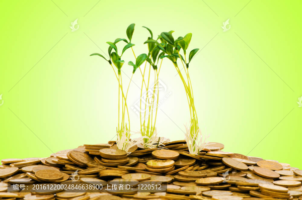 貨幣增長的概念與硬幣和幼苗