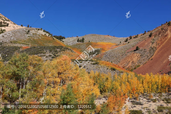 山坡