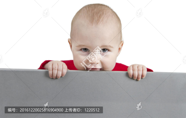 抱灰征