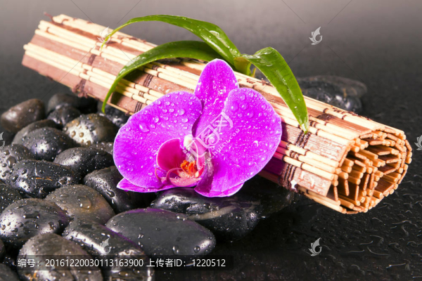 粉紅蘭花與黑寶石。