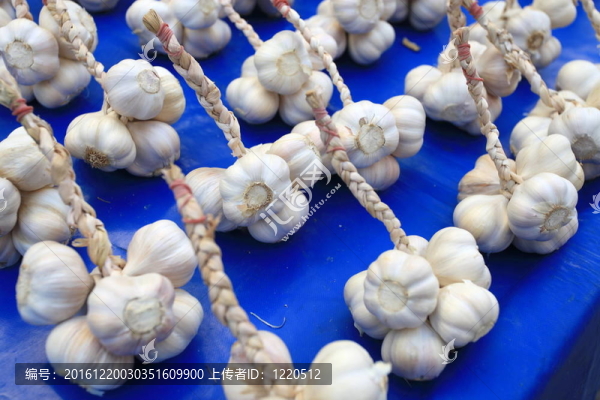 蔬菜53