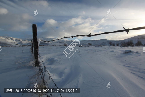 早晨雪